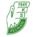 Pelikan Łowicz