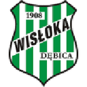 Wisłoka Dębica