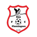 Sua Flamingoes