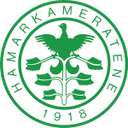 HamKam U19