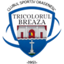 Tricolorul Breaza
