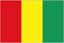 Guinea W