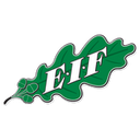EIF Akademi