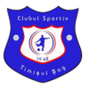 Timişul Şag