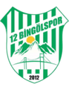 12 Bingölspor